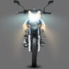 Workman 250 - Imagen 9