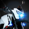 Workman 250 - Imagen 6